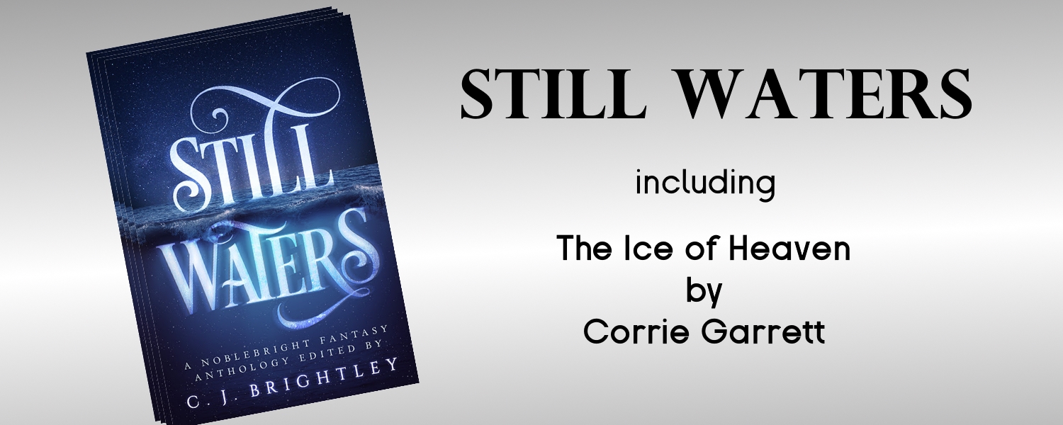 facebook for stillwaters